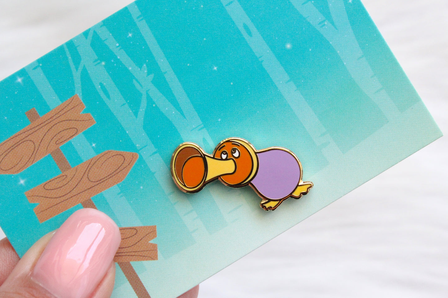 Pin's Horn duck
