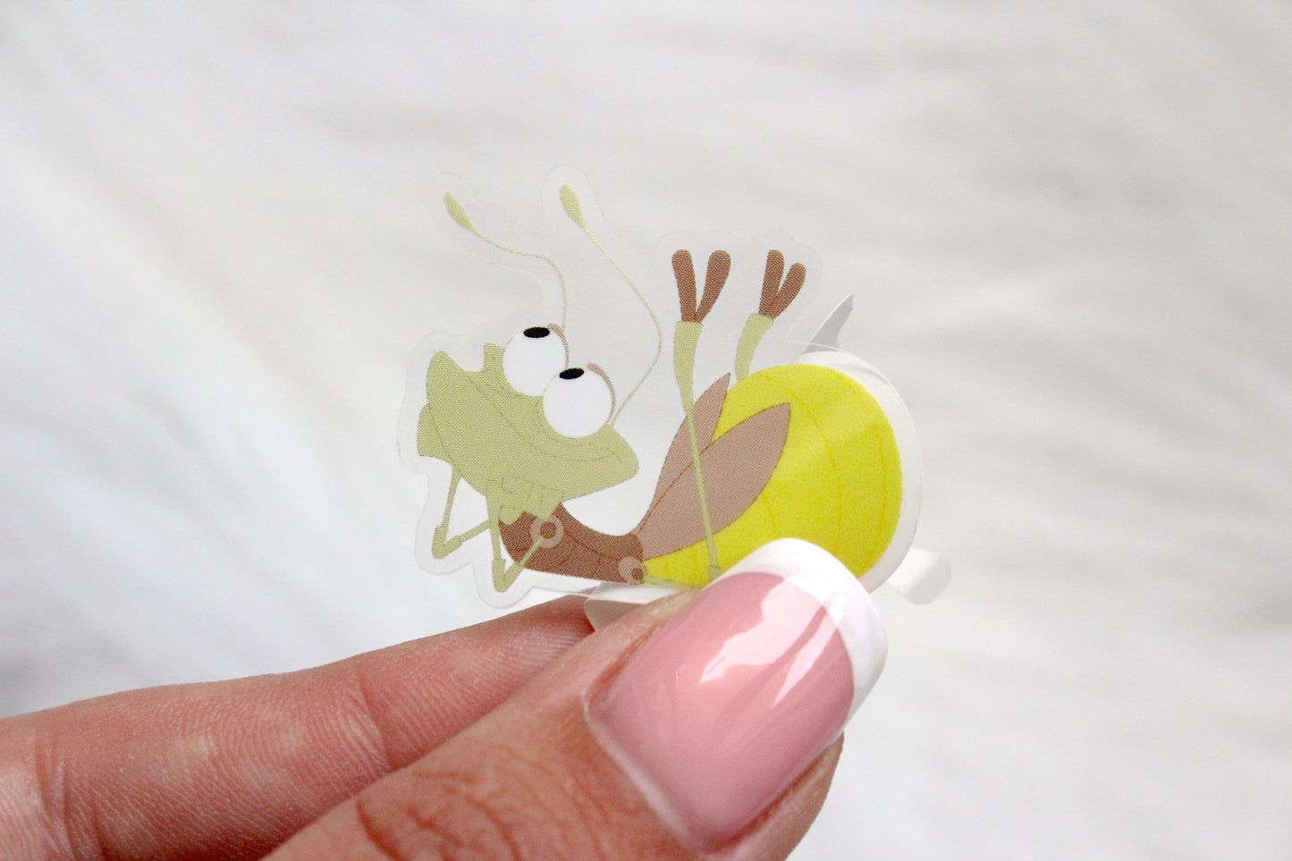 Sticker Ray