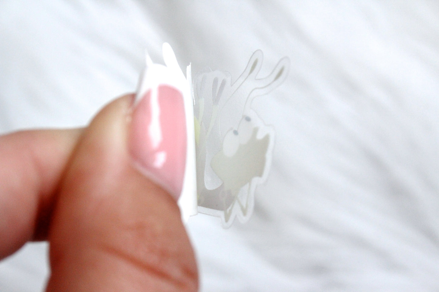 Sticker Ray