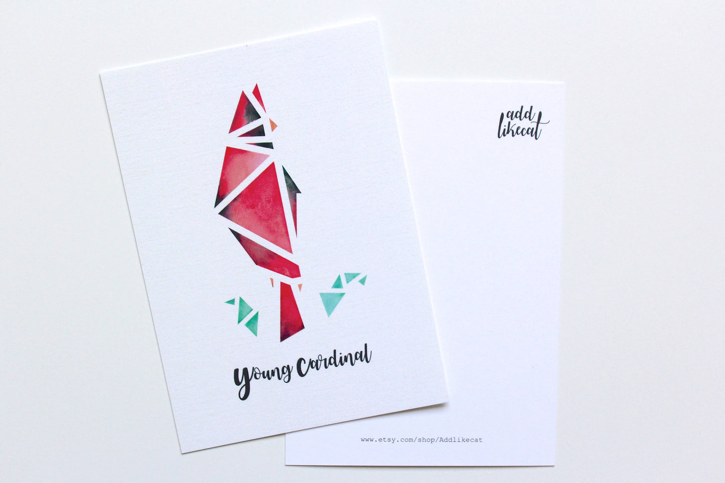 <transcy>Postcard "young cardinal"</transcy>