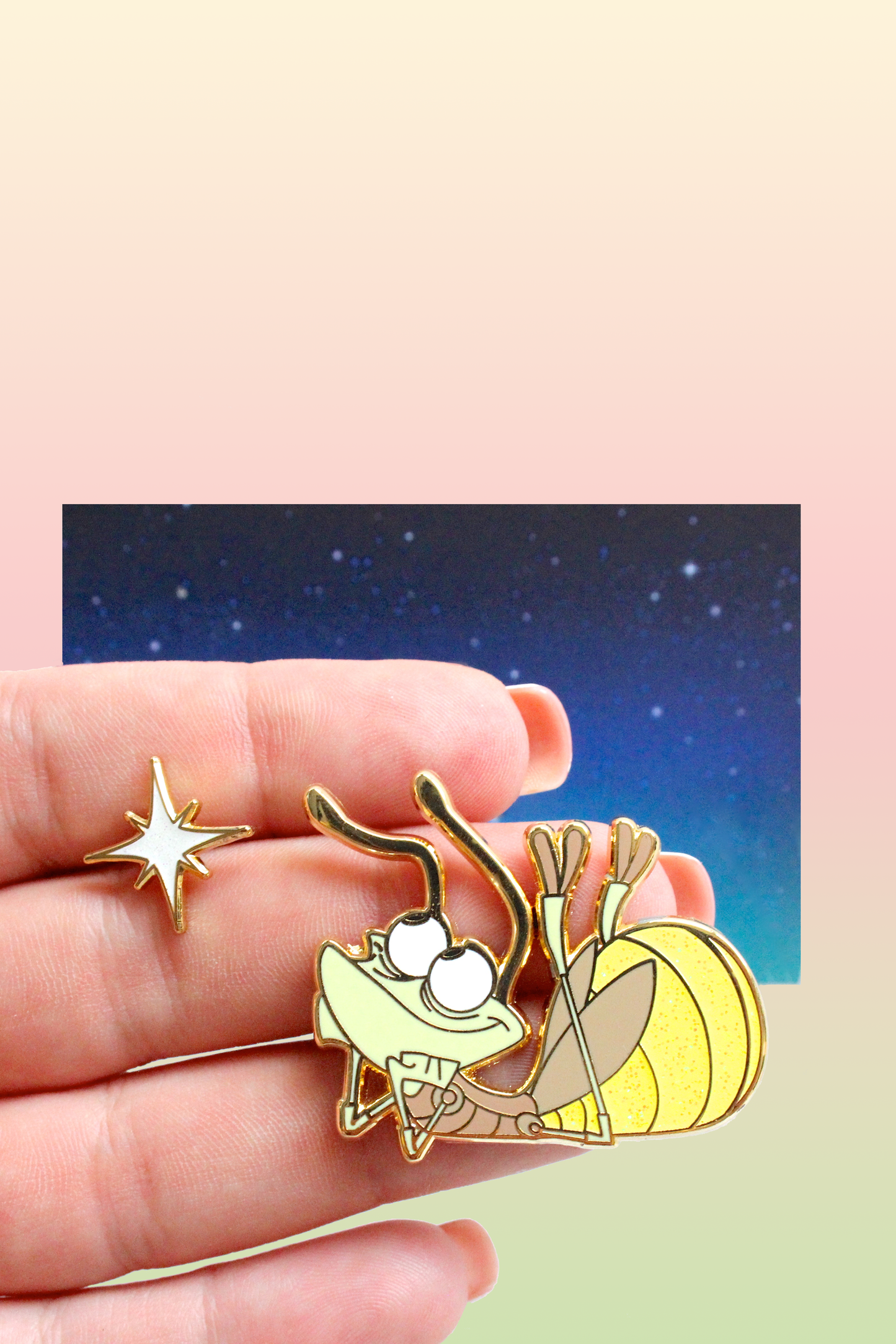 Pin's Ray and star (set)